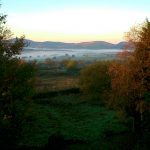 early moring mist